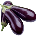 American Eggplant