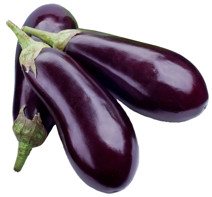 American Eggplant