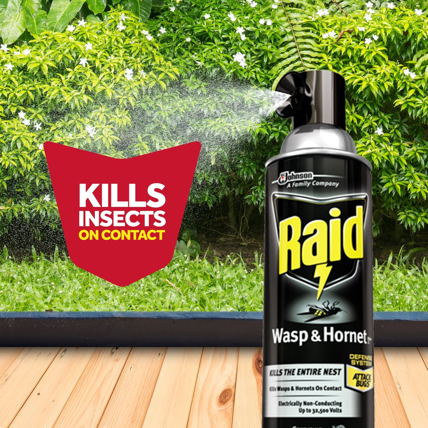 Raid Wasp & Hornet Insect Killer 33, 14 oz, 2 ct