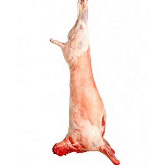 Halal Whole Lamb -18-25LB