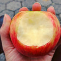 Fresh Honeycrisp Apple, Each