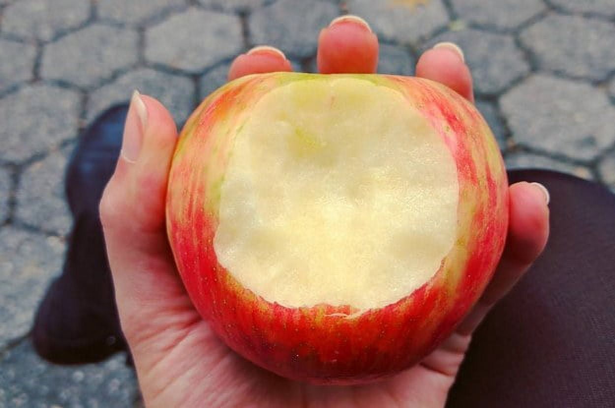 Fresh Honeycrisp Apple, Each