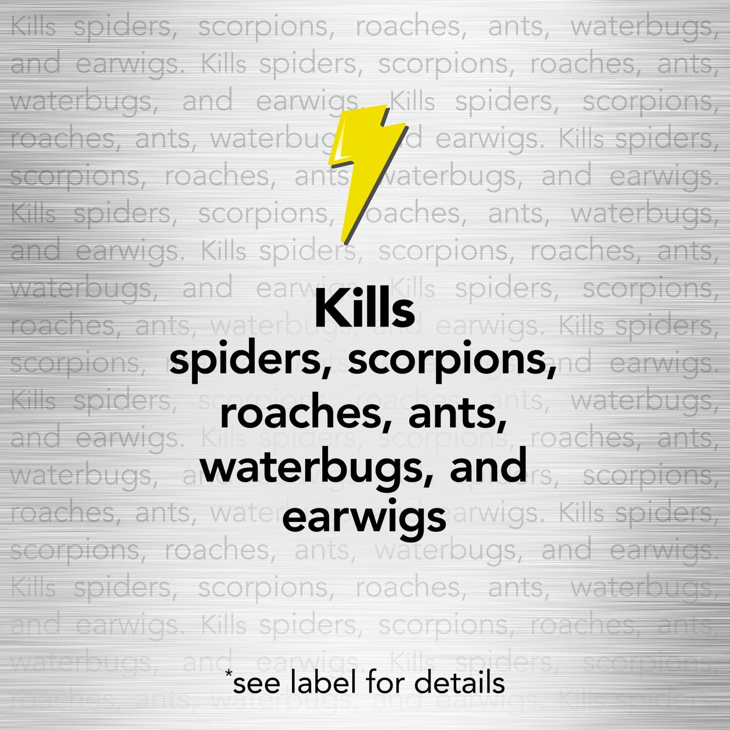 Raid Max Spider & Scorpion Killer, Indoor & Outdoor Anti Spider Spray, 12 oz