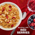 Kellogg's Special K Red Berries Breakfast Cereal, Family Size, 16.9 oz Box