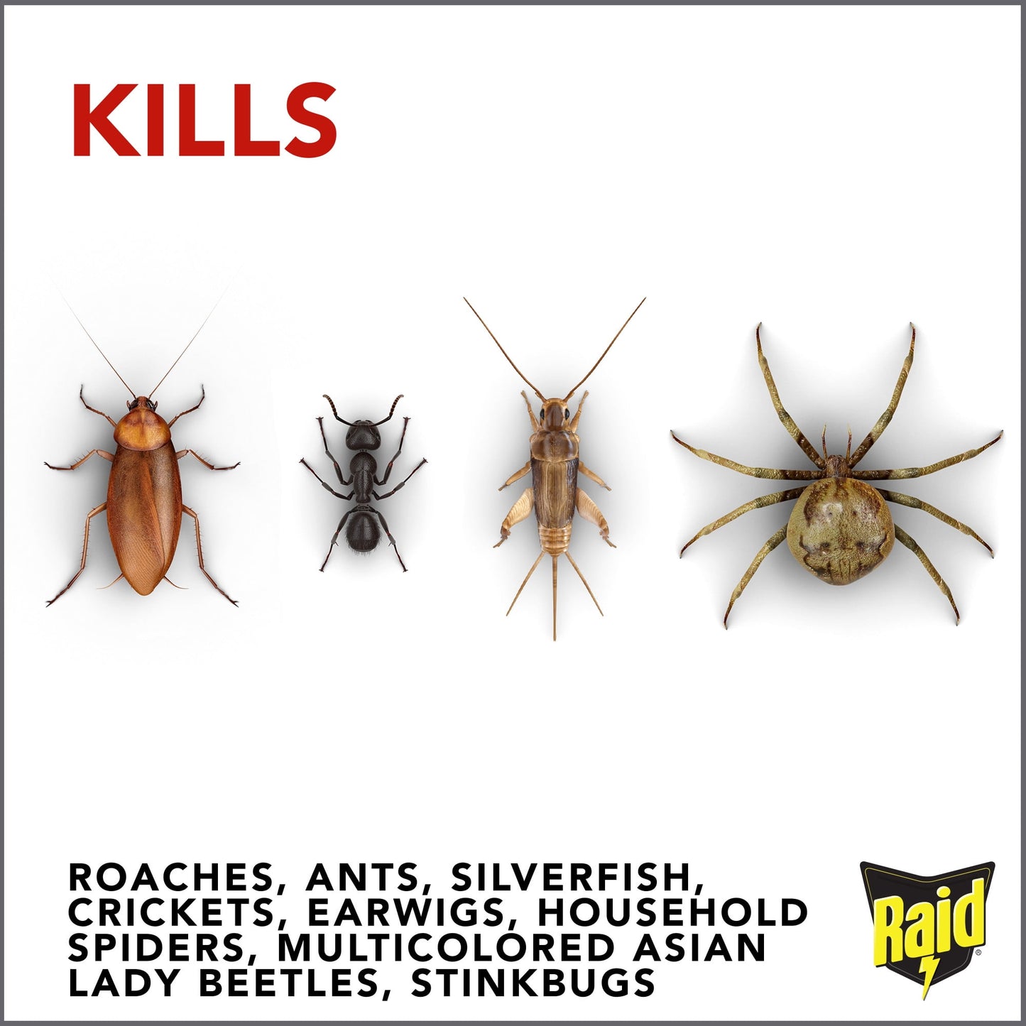 Raid Ant & Roach Killer 26, Fragrance Free, 17.5 oz