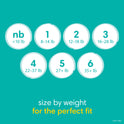 Pampers Baby Dry Diapers Size 2, 37 Count (Select for More Options)