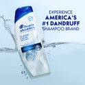 Head and Shoulders Dandruff Shampoo, Classic Clean, 12.5 oz