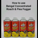 Bengal Concentrated Roach and Flea Killer Fogger, Odorless Mess-Free Dry Fog, 3 Count, 2.7 Oz Aerosol Cans