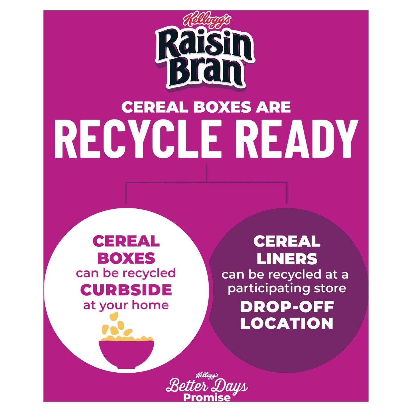 Kellogg's Raisin Bran Original Cold Breakfast Cereal, Mega Size, 37 oz Box