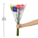 Fresh-Cut Rainbow Carnations Flower Bunch, Minimum 8 Stems, Colors Vary