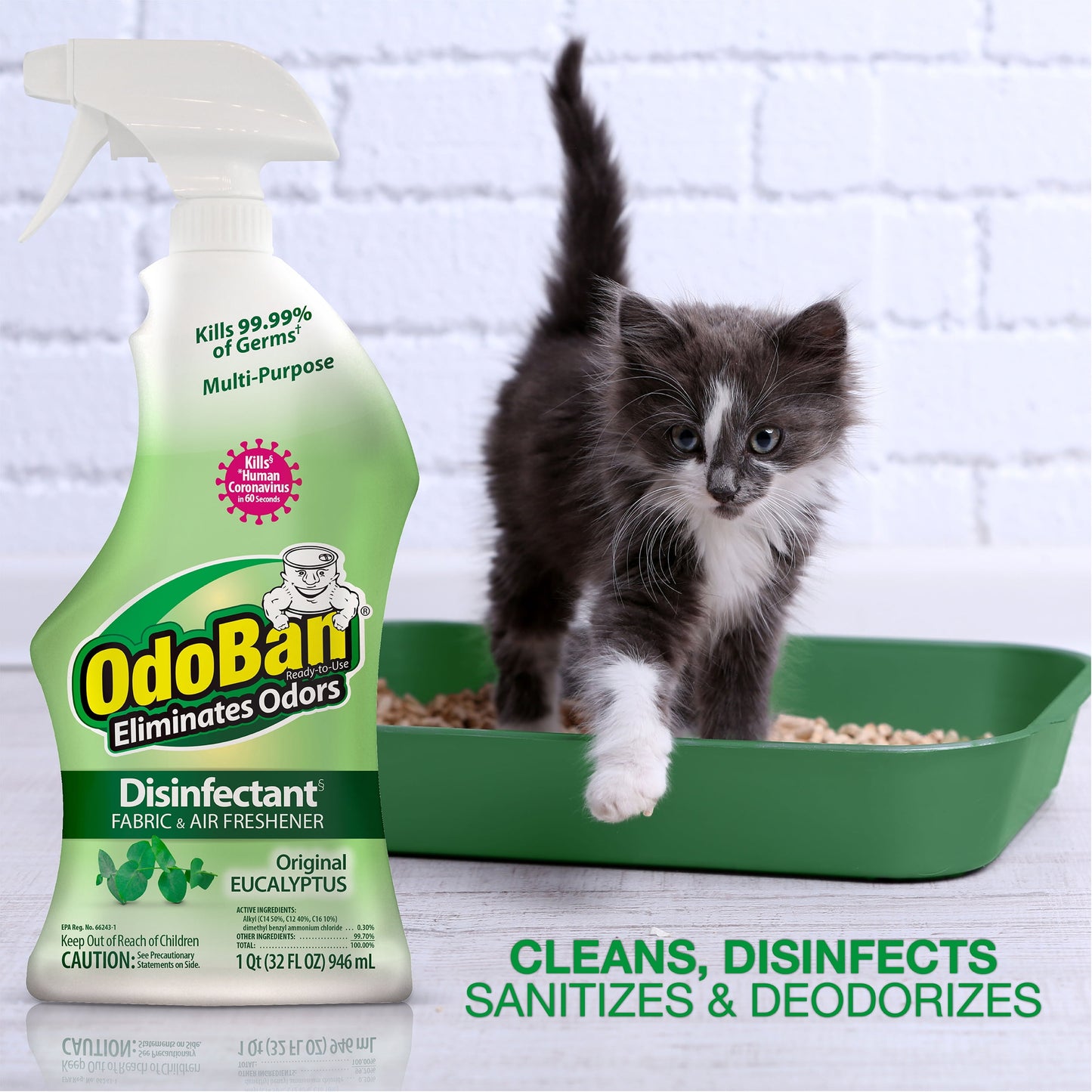 OdoBan Original Eucalyptus Scent Disinfectant Fabric & Air Freshener, 32 fl oz