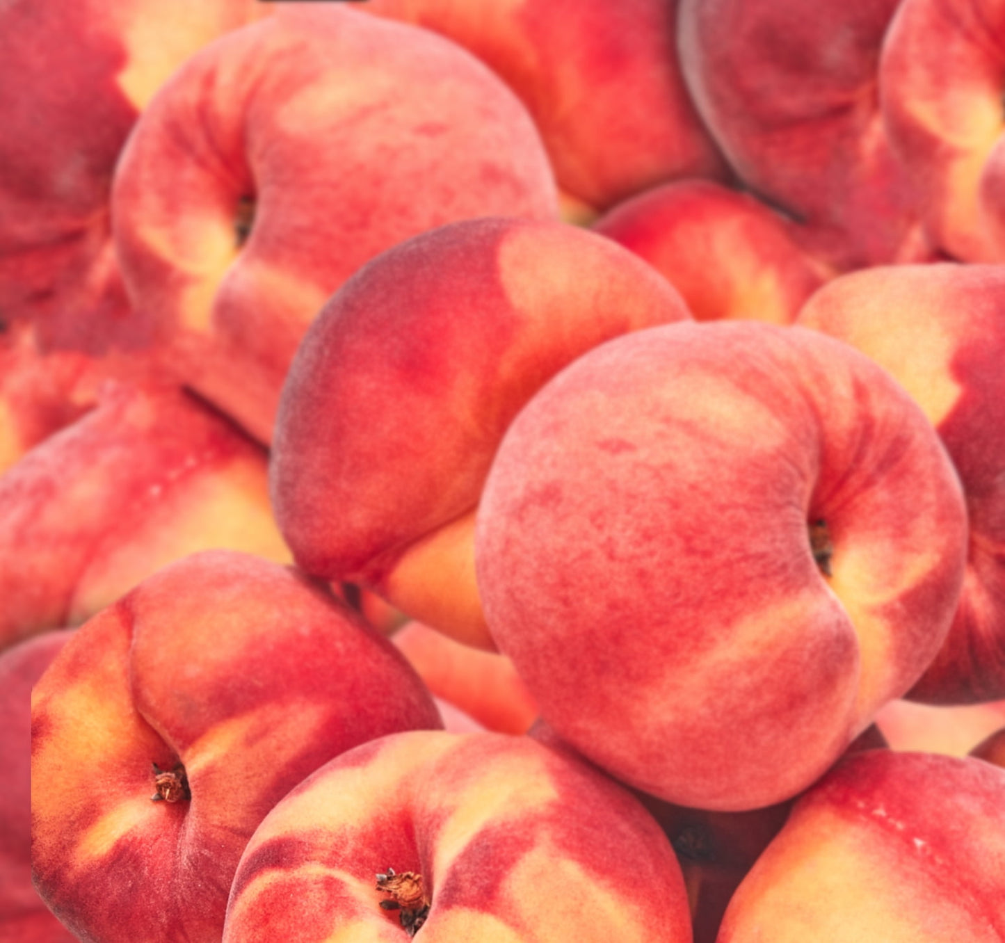 Fresh Yellow Nectarine, Each