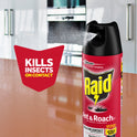 Raid Defend Outdoor Ant and Roach Insecticide Value Size, Fresh, 20 oz