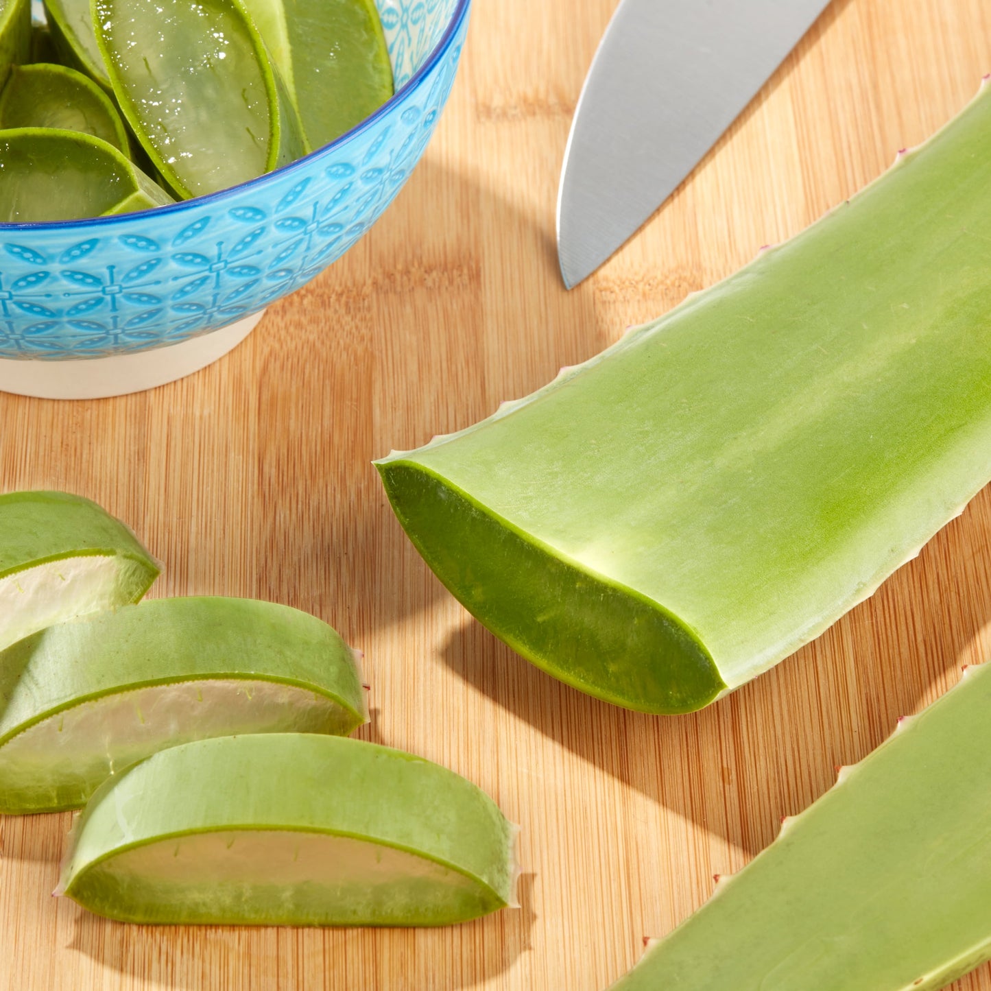 Fresh Aloe Leaf, Each