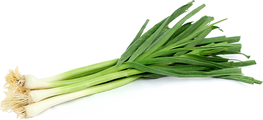 Green Garlic