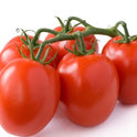 Roma Tomatoes