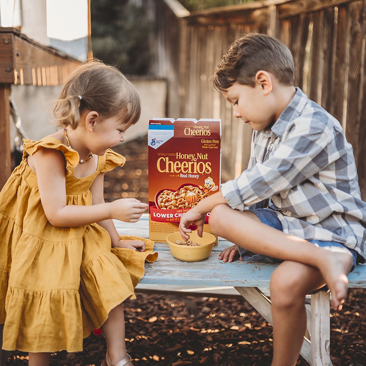 Honey Nut Cheerios Heart Healthy Gluten Free Breakfast Cereal, Mega Size, 29.4 oz