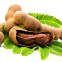 Tamarind Concentrate