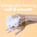 Softsoap Moisturizing Adult Body Wash, Juicy Pomegranate and Mango, for All Skin Type, 20 oz