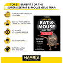 Harris Super-Size Rat and Mouse Glue Trap with Lure, 1 Trap