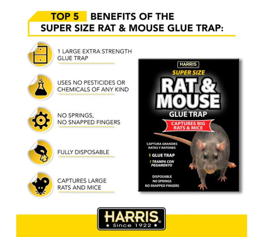 Harris Super-Size Rat and Mouse Glue Trap with Lure, 1 Trap