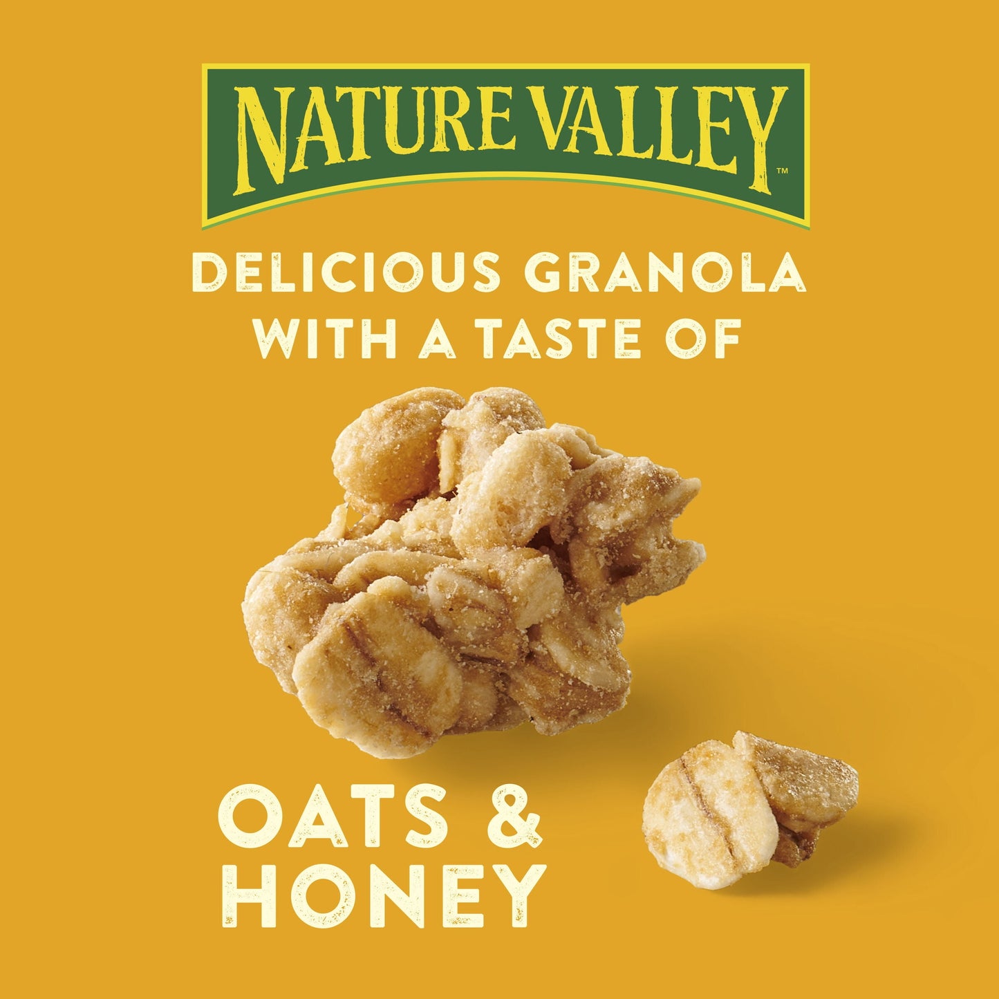 Nature Valley Protein Granola, Oats and Honey, Family Size, Resealable Bag, 17 OZ