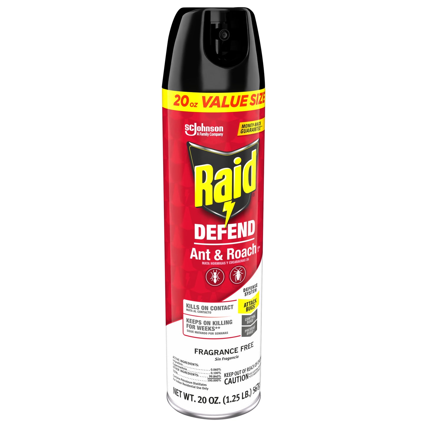 Raid Defend Indoor Ant and Roach Killer Spray Value Size, 20 oz