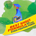 Shout Advanced Acting Gel, Laundry Stain Remover, 22 Ounce