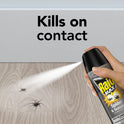 Raid Max Spider & Scorpion Killer, Indoor & Outdoor Anti Spider Spray, 12 oz