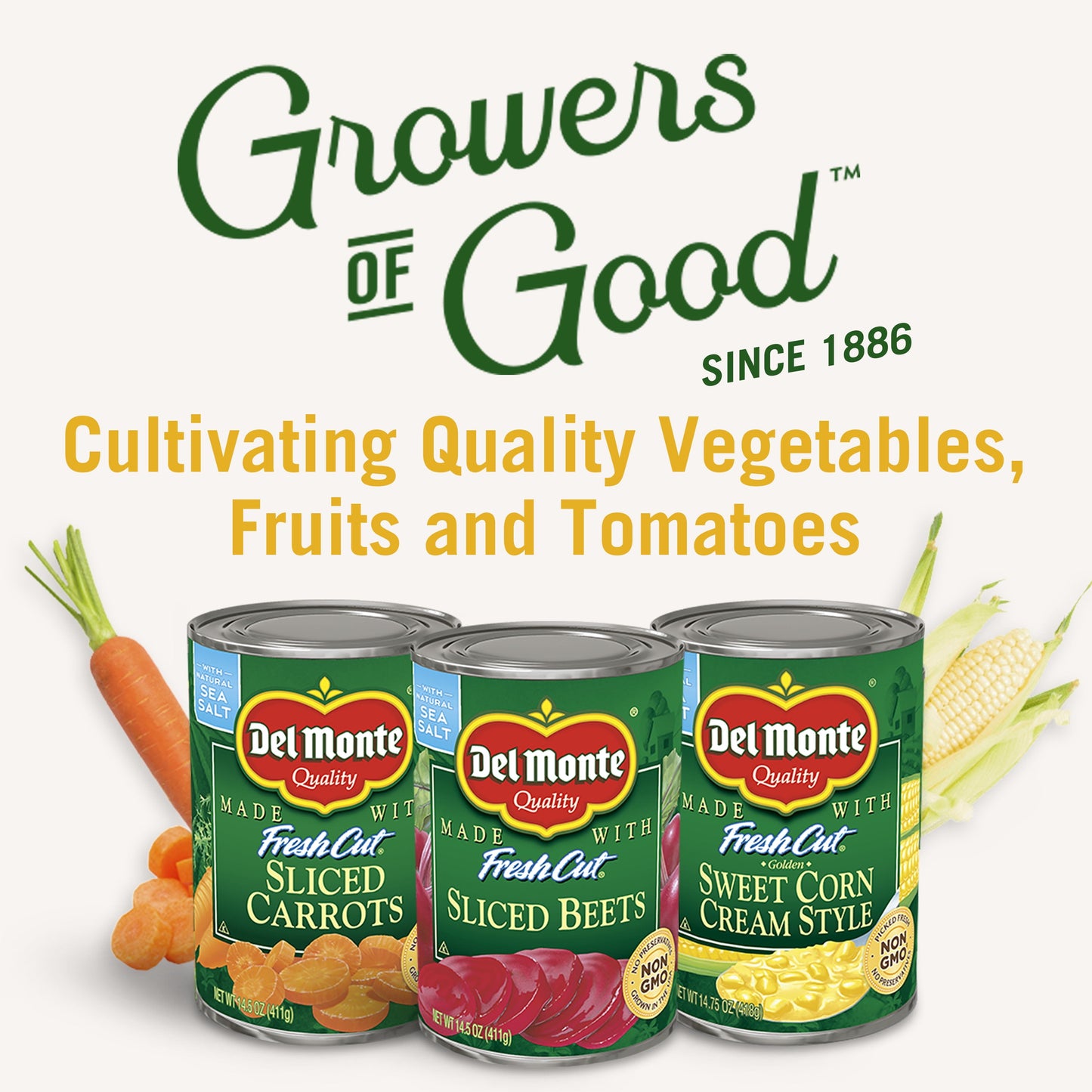 Del Monte Cut Green Beans Canned Vegetables, 14.5 oz Can