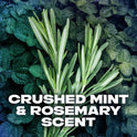 Axe Phoenix Refreshing Long Lasting Body Wash, Crushed Mint and Rosemary, 32 fl oz