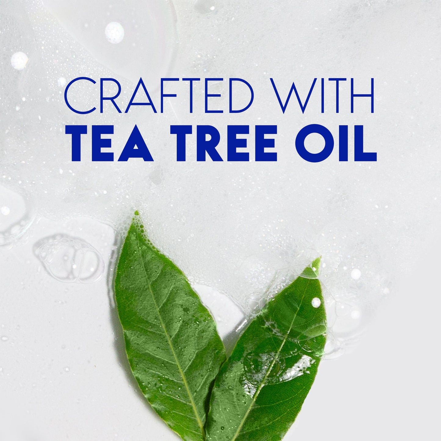 Head and Shoulders Dandruff Shampoo, Tea Tree Oil, 12.5 fl oz