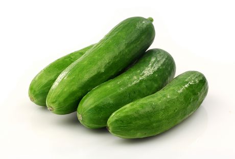 Small Cucumber