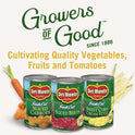 Del Monte Stewed Tomatoes Onions Celery Peppers, 14.5 oz Can