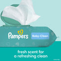 Pampers Flip Top Wipes Baby Fresh 12x 864 Wipes