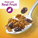 Kellogg's Raisin Bran Original Breakfast Cereal, Family Size, 24 oz Box