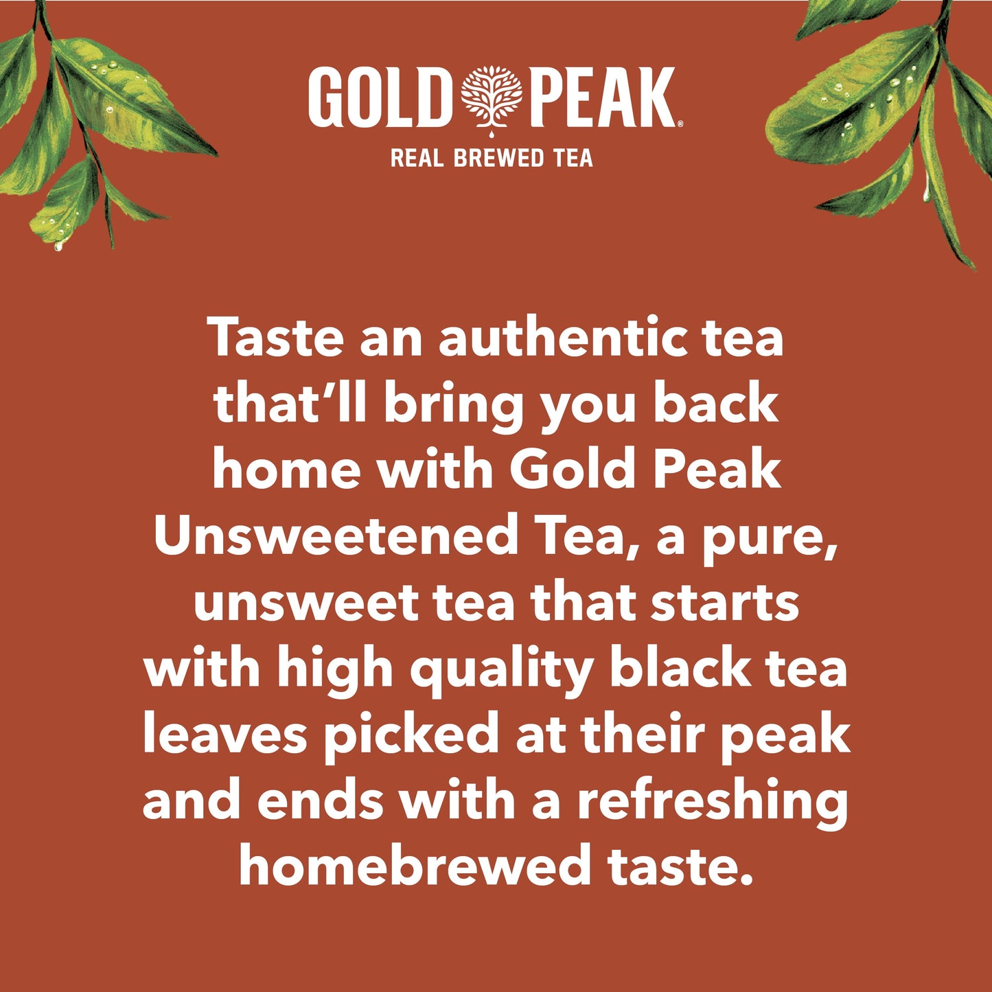 Gold Peak Real Brewed Tea Unsweetened Black Tea Drink, 59 fl oz