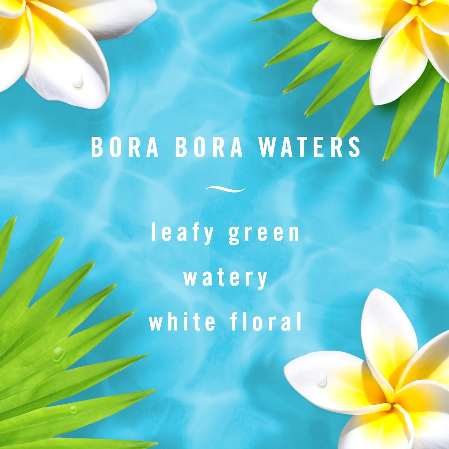 Febreze Odor-Fighting Air Freshener, Bora Bora Water Fresh Scent, Pack of 2, 8.8 oz each