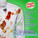 Spray 'n Wash Max Laundry Stain Remover, 22oz Bottle