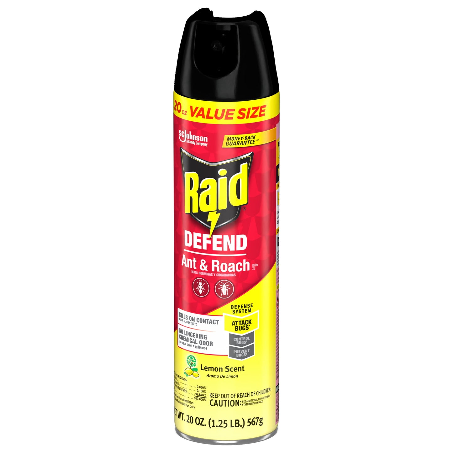 Raid Defend Indoor Defense System Roach and Ant Killer Spray Value Size, 20 oz