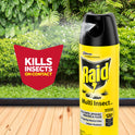 Raid Defense System Indoor and Outdoor Multi Insect Killer Spray, 15 oz