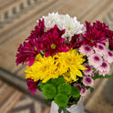 Fresh-Cut Small Rainbow Poms Flower Bunch, Minimum of 7 Stems, Colors Vary