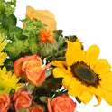 Fresh-Cut Small Mixed Flower Bouquet, Minimum of 12 Stems, Colors Vary