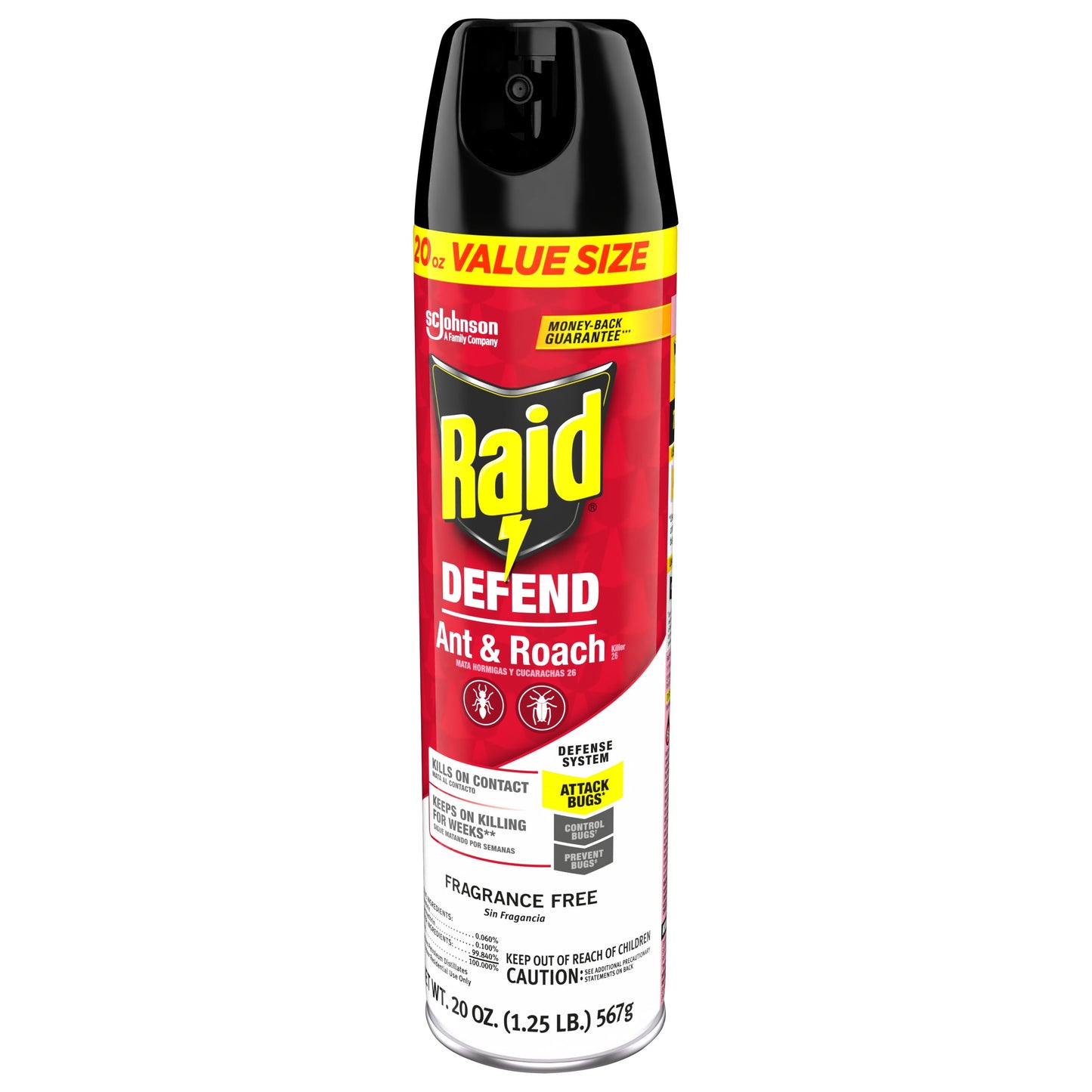 Raid Defend Indoor Ant and Roach Killer Spray Value Size, 20 oz