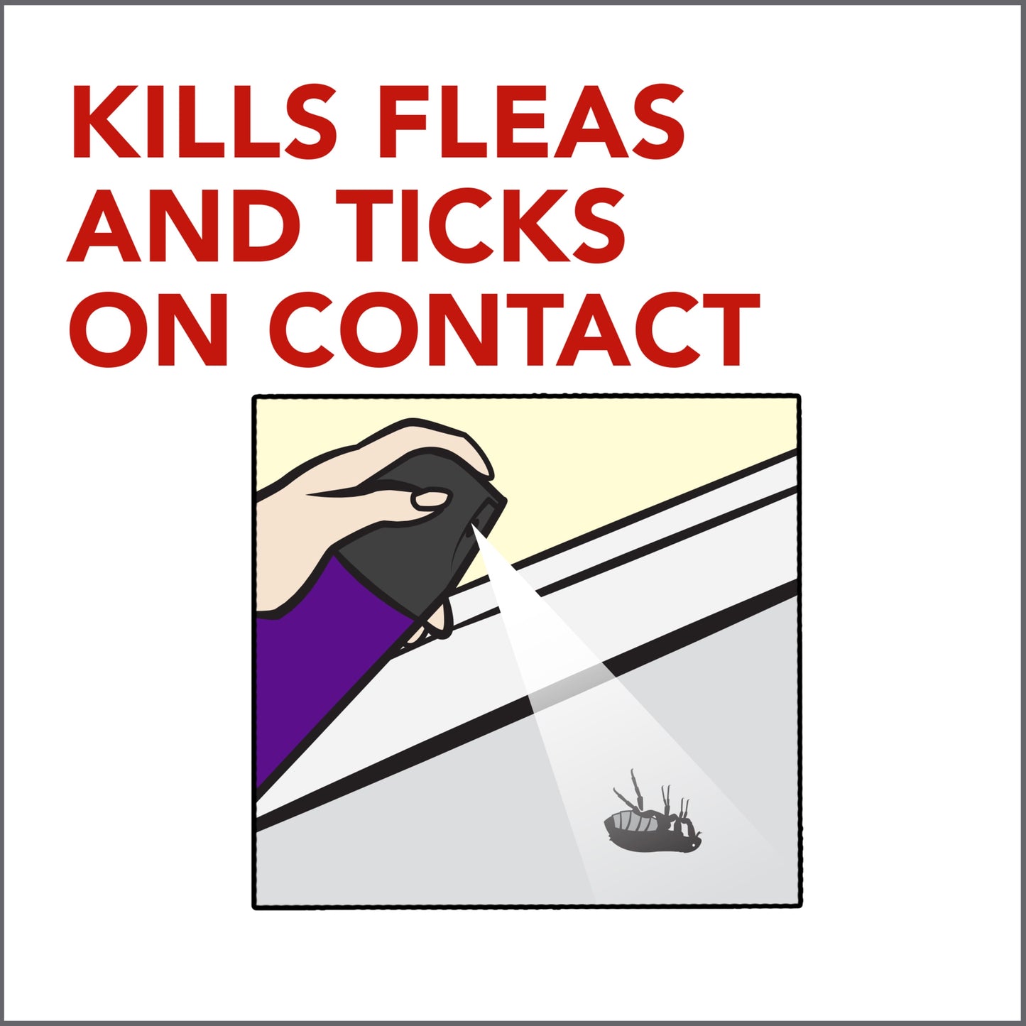 Raid Flea Killer Plus Carpet & Room Spray Kills Fleas & Flea Eggs for Up to 4 Weeks, 16 oz