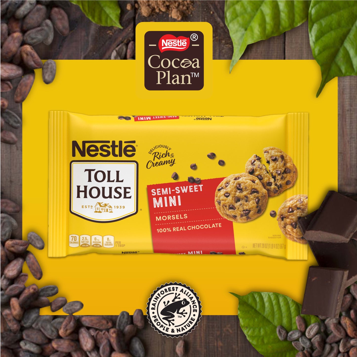 Nestle Toll House Semi Sweet Mini Chocolate Baking Chips, 20 oz Bag