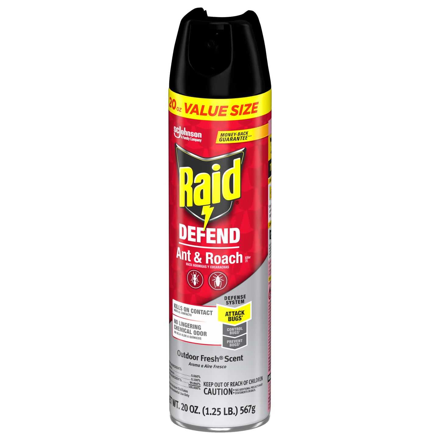 Raid Defend Outdoor Ant and Roach Insecticide Value Size, Fresh, 20 oz