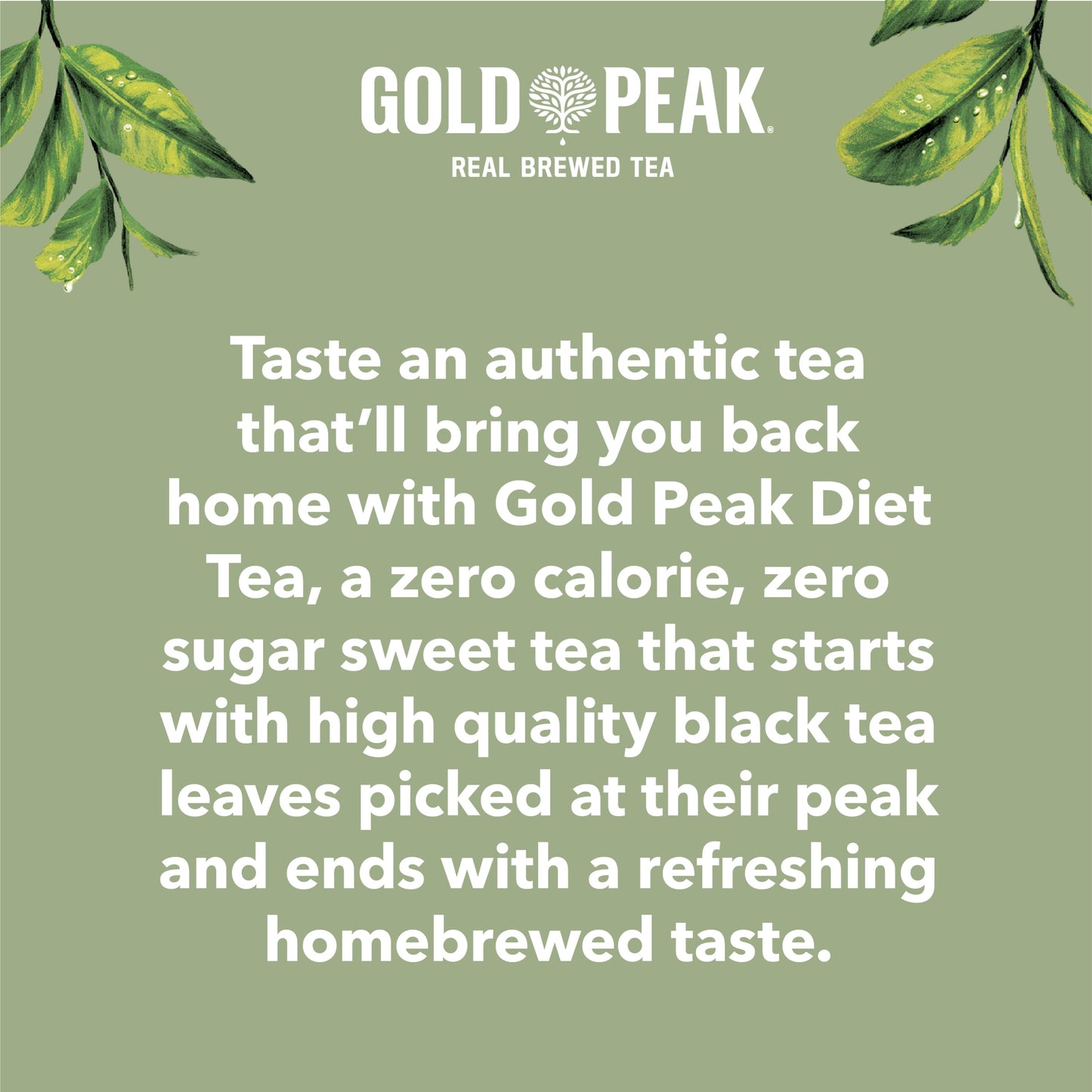 Gold Peak Real Brewed Tea Zero Sugar Diet, Bottled Tea Drink, 16.9 fl oz, 6 Bottles