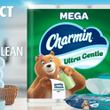 Charmin Flushable Wipes, 2 Flip-Top Packs, 40 Wipes per Pack, 80 Total Wipes