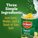 Del Monte Canned Golden Sweet Whole Kernel Corn, 15.25 oz Can